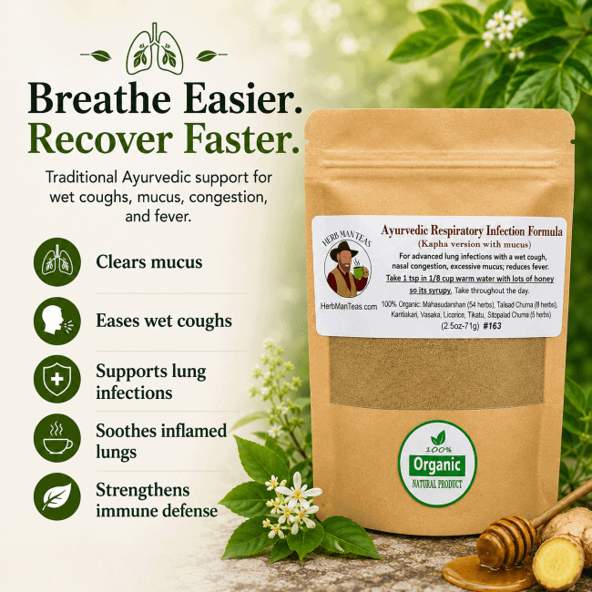 RESPIRATORY INFECTION FORMULA - high mucus version - Herb Man Teas